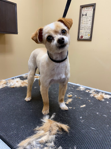 Pet Store «Healthy Pets Mountain West», reviews and photos, 2352 Fort Union Blvd, Cottonwood Heights, UT 84121, USA