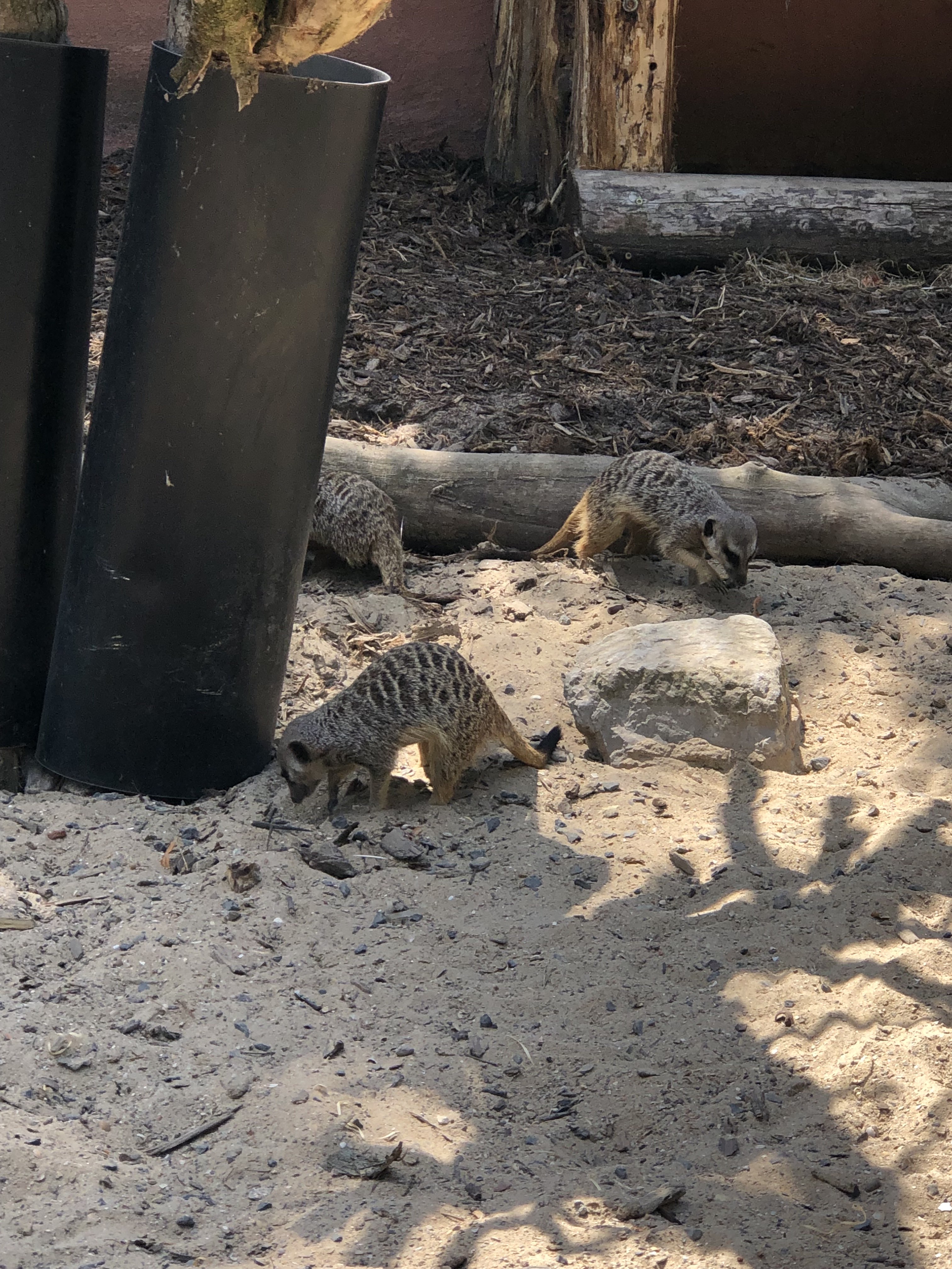 Photo n° 7 de l'avis de Adèle.u fait le 08/08/2022 à 13:07