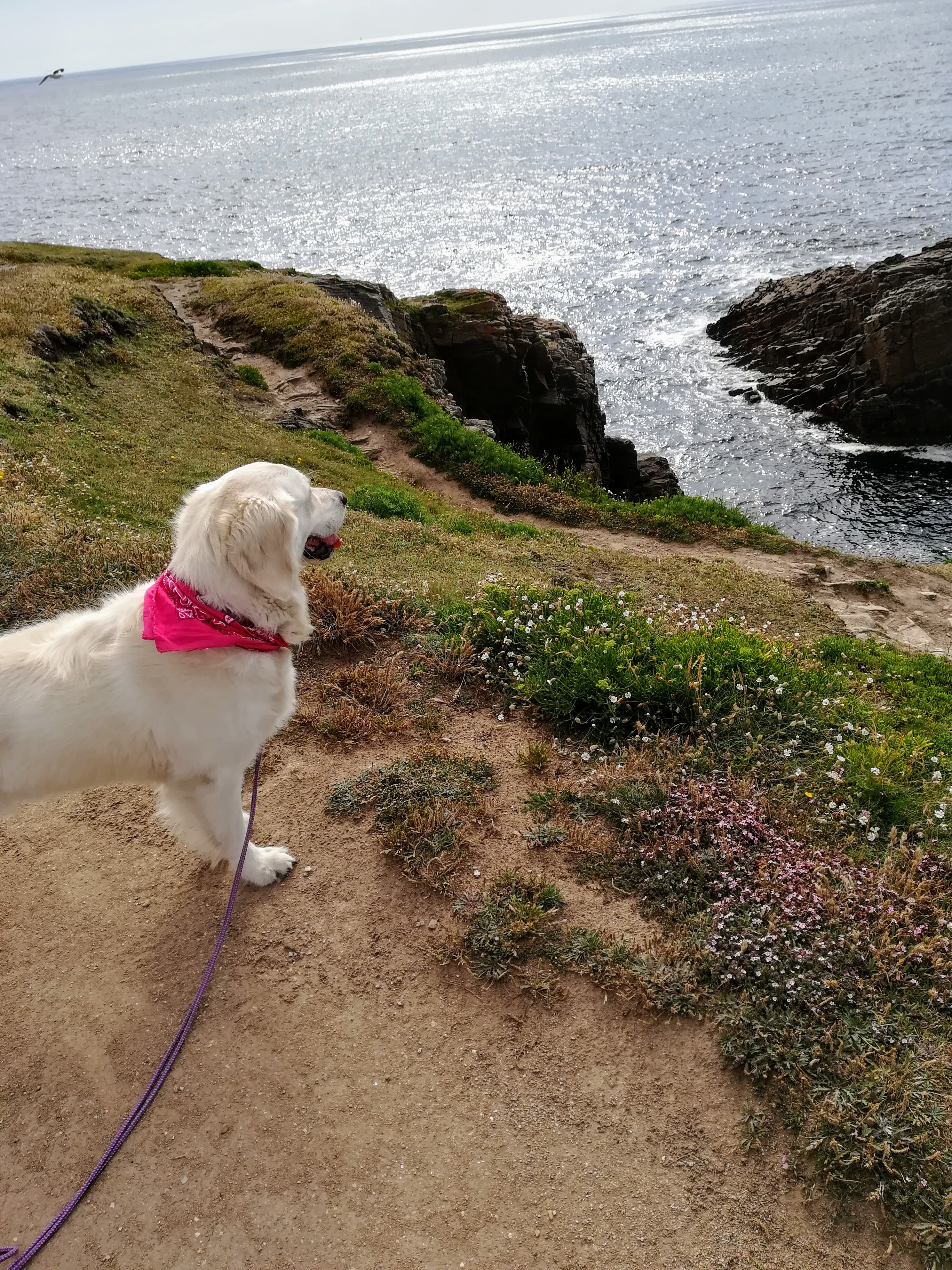 Photo n° 1 de l'avis de pierre.a fait le 26/07/2019 à 17:03