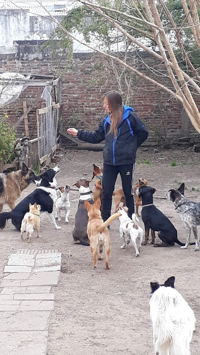 La Guarde - Guardería Canina La Plata