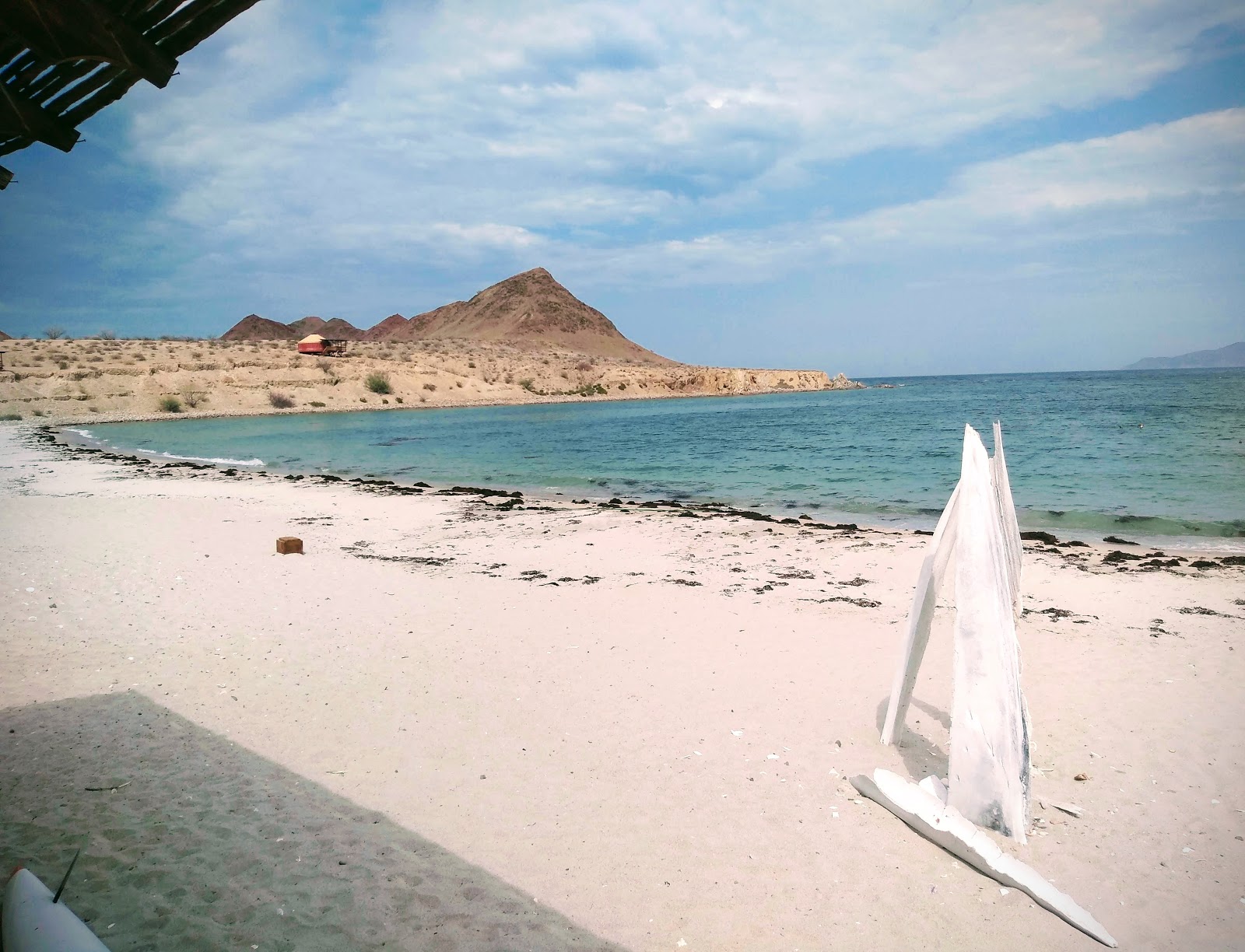 Fotografija Playa Las Animas z svetel fin pesek površino