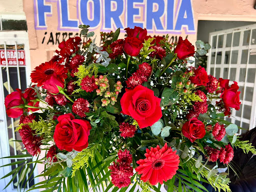 Flores y detalles Kolibrí