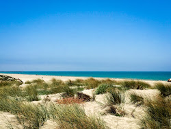 Oxnard Beach'in fotoğrafı düz ve uzun ile birlikte