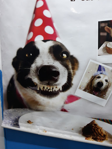 Pixoxó Pet Shop - Veterinary Pharmacy em Guarulhos - SP