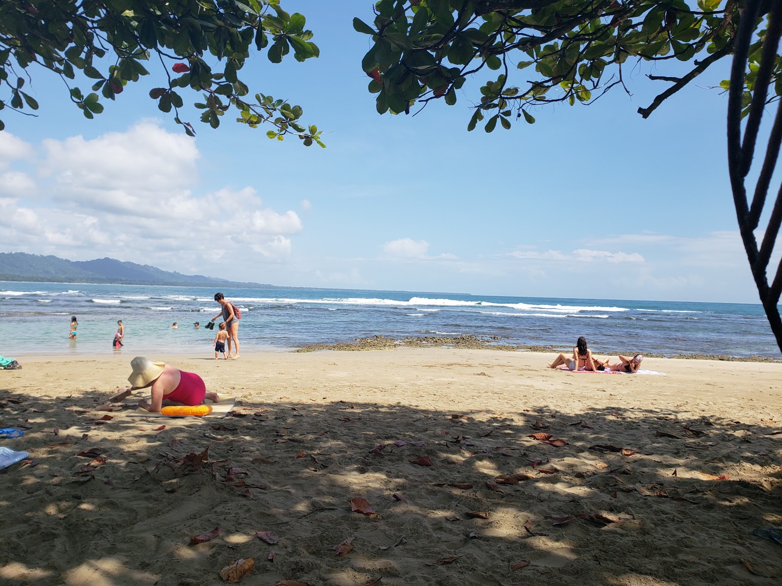 Puerto Viejo beach的照片 带有碧绿色水表面