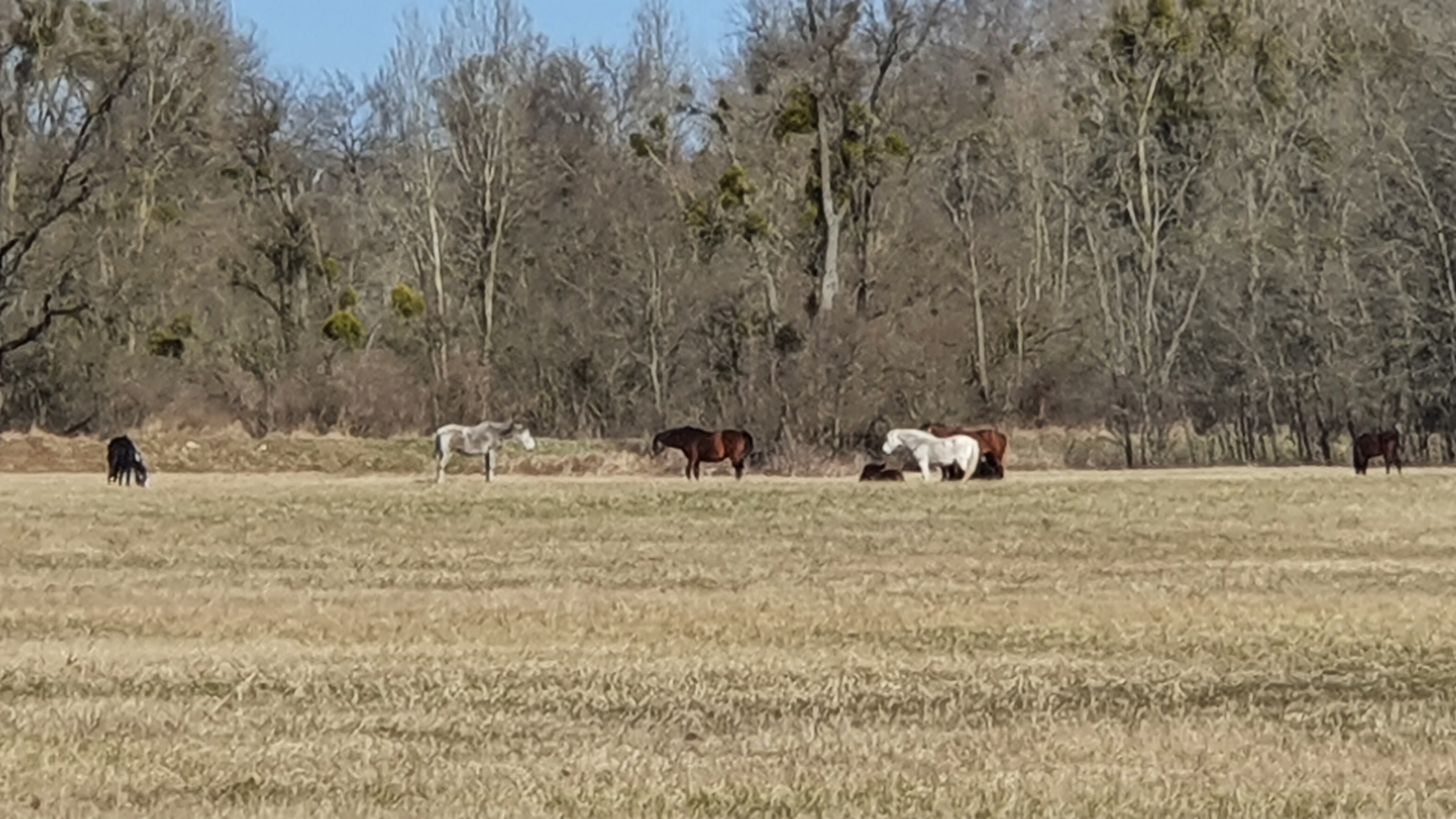 Photo n° 7 de l'avis de Marc.A fait le 28/02/2022 à 12:14