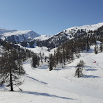 Photo n° 3 de l'avis de Thierry.e fait le 21/04/2018 à 14:15 pour La Forêt Blanche - VARS à Vars