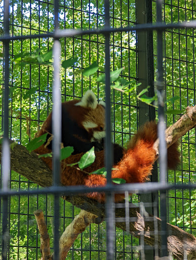 Zoo «Pueblo Zoo», reviews and photos, 3455 Nuckolls Ave, Pueblo, CO 81005, USA