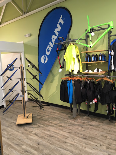 Bicycle Store «B3 Bicycles Howell (Bike Blade & Ball)», reviews and photos, 6798 U.S. 9, Howell, NJ 07731, USA