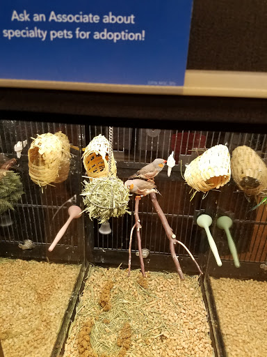 Pet Supply Store «PetSmart», reviews and photos, 2858 Willamette St, Eugene, OR 97405, USA