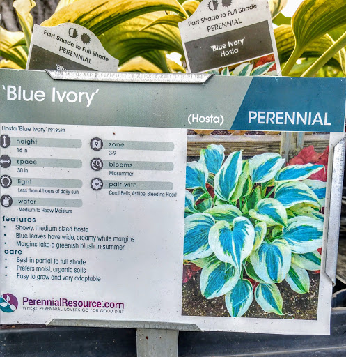 Florist «Pletschers», reviews and photos, 641 Old Hwy 8 SW, New Brighton, MN 55112, USA