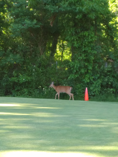 Golf Course «Christopher Morley Park Golf», reviews and photos, 500 Searingtown Rd, Roslyn, NY 11576, USA