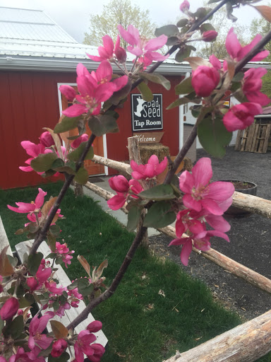 Cider Mill «Bad Seed Cider Co», reviews and photos, 43 Baileys Gap Rd, Highland, NY 12528, USA