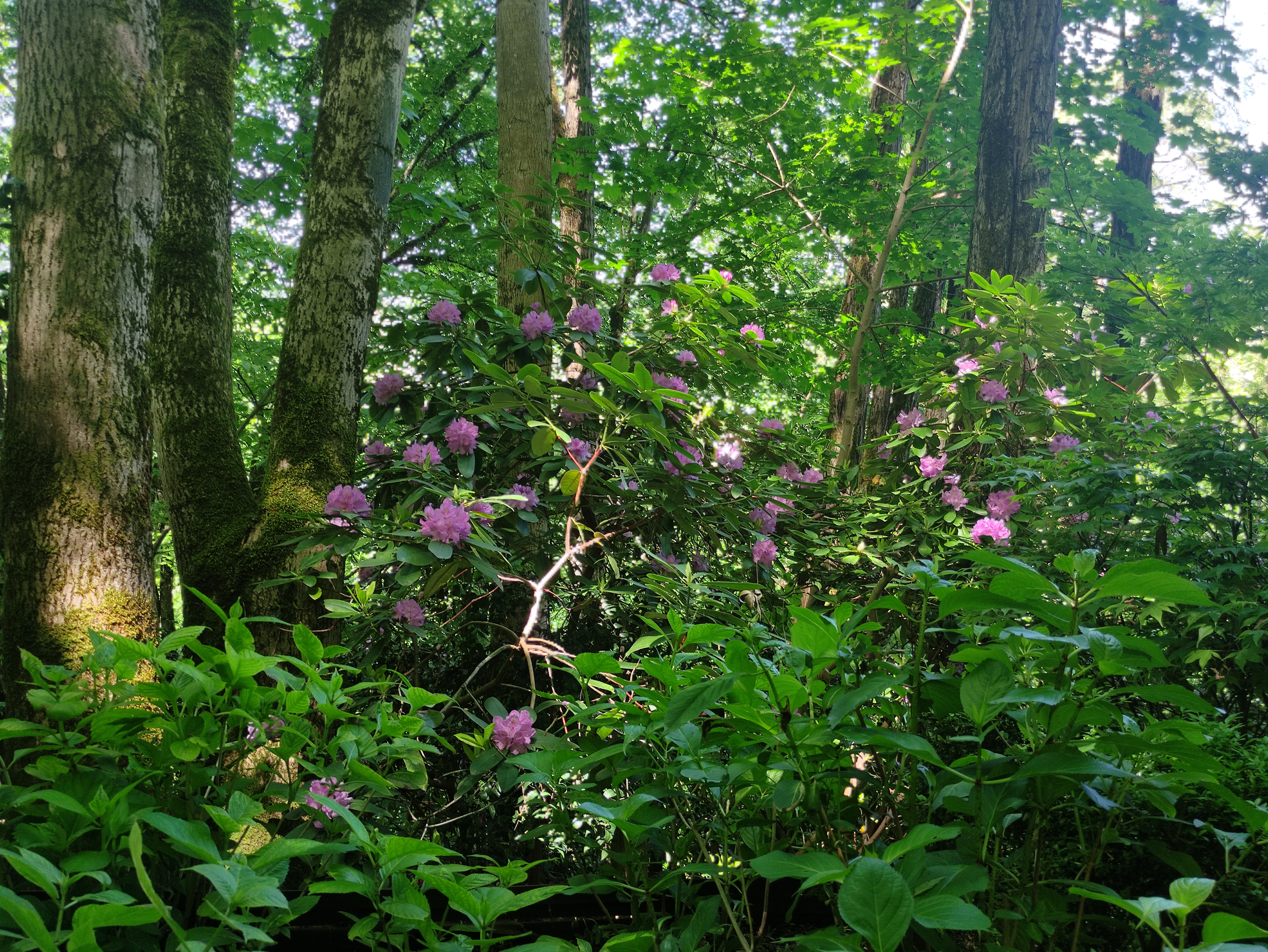 Photo n° 11 de l'avis de anne.a fait le 08/05/2021 à 14:53