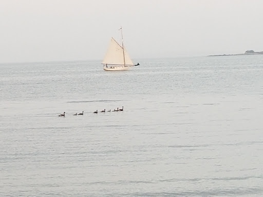 Campground «Winter Island Park», reviews and photos, 50 Winter Island Rd, Salem, MA 01970, USA