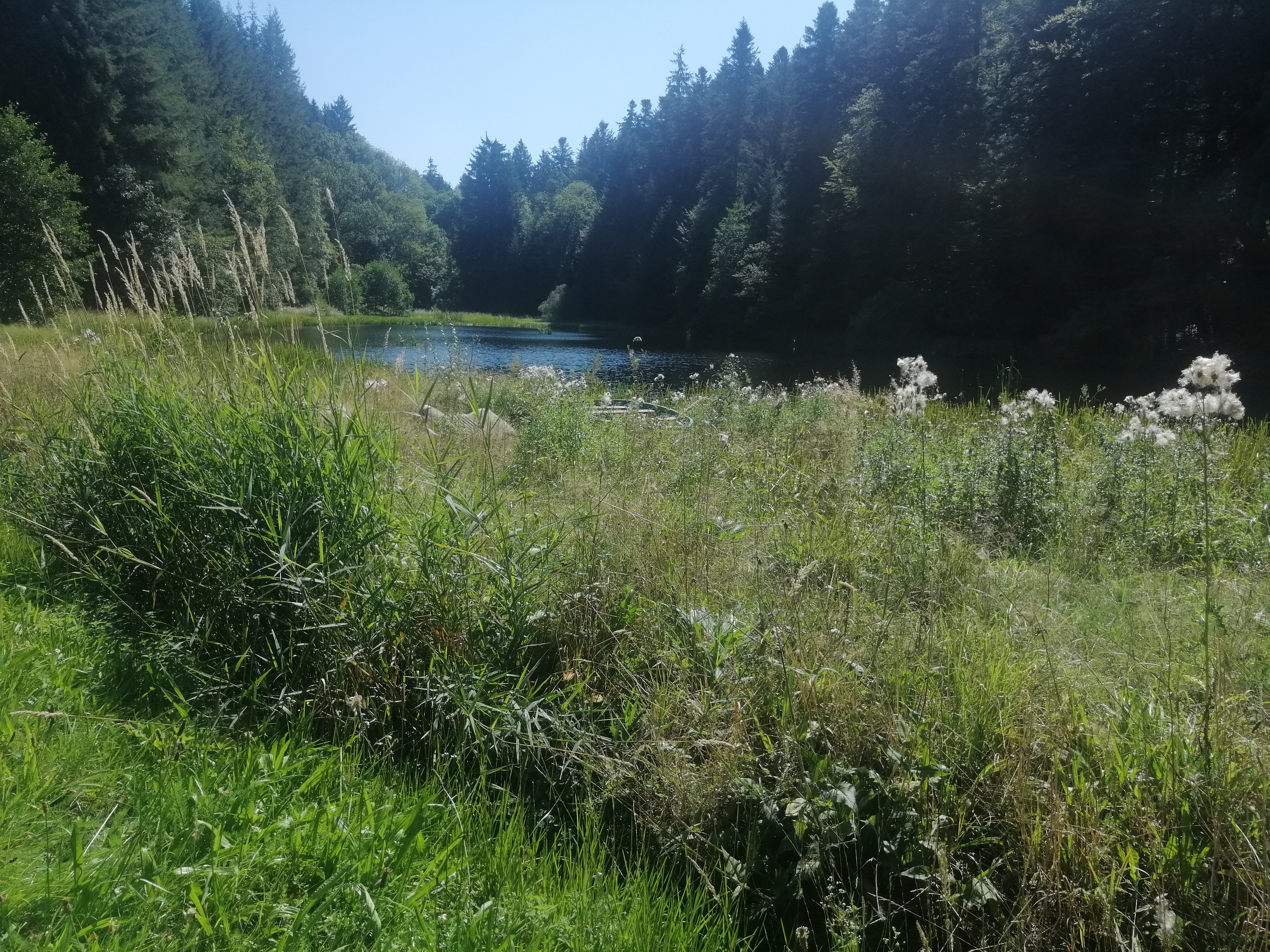 Photo n° 1 de l'avis de Vaé.h fait le 23/08/2019 à 20:03
