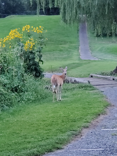 Health Club «The Abington Club», reviews and photos, 300 Meetinghouse Rd, Jenkintown, PA 18946, USA