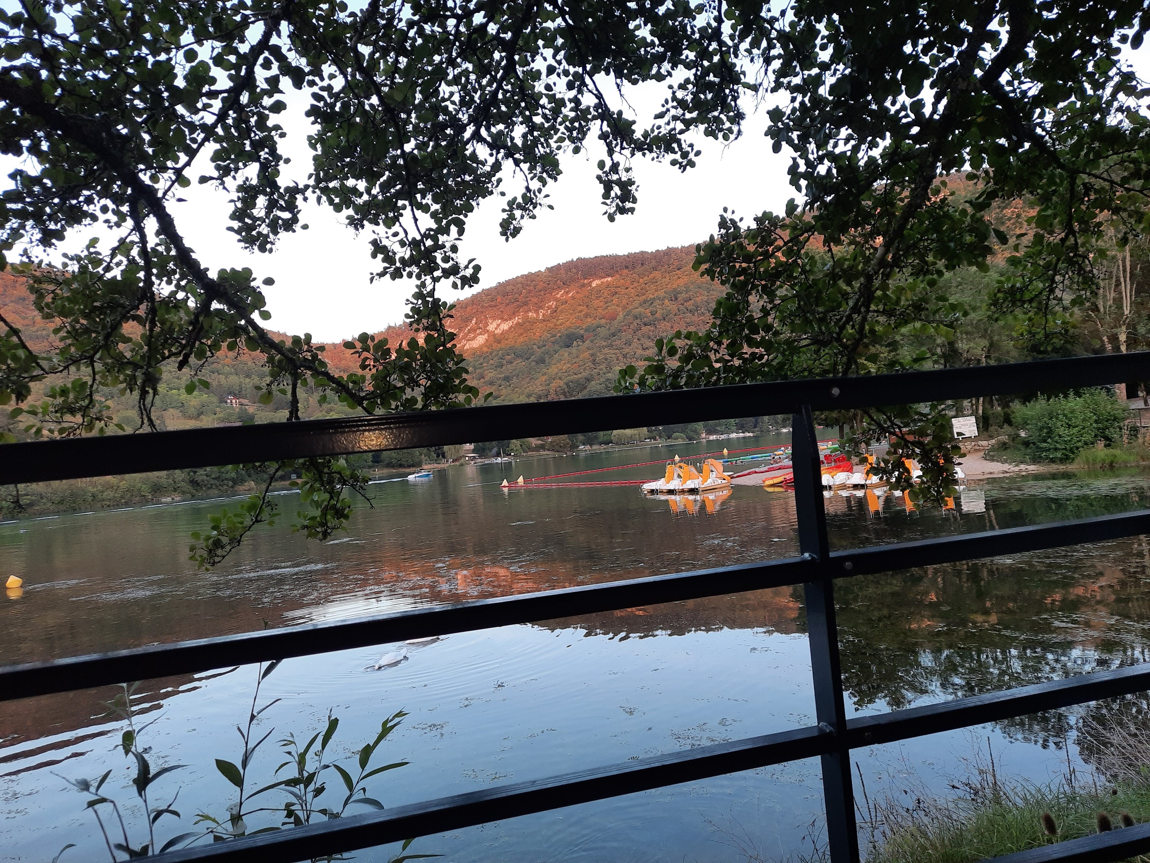 Photo n° 3 de l'avis de V..i fait le 23/08/2023 à 11:22