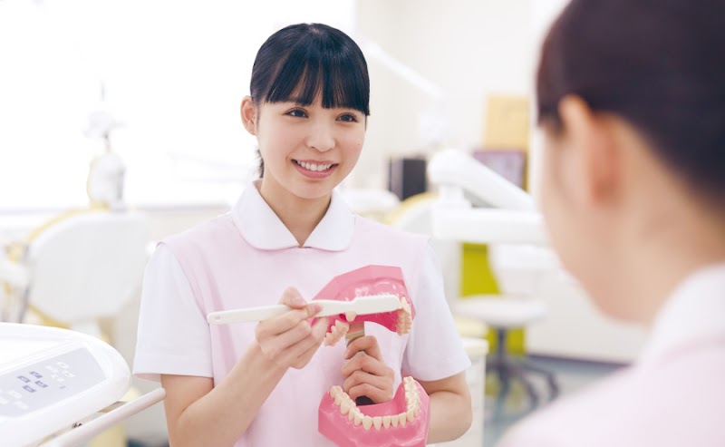 日本医歯薬専門学校