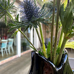 Photo n°5 de l'avis de Alexander.i fait le 25/09/2021 à 22:00 sur le  ZIMTZIEGE à Ahrenshoop