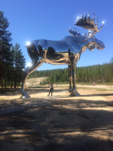 Motorcycle Dealer «Lake City Honda , Lake City Kawasaki», reviews and photos, 3426 US-30, Warsaw, IN 46580, USA