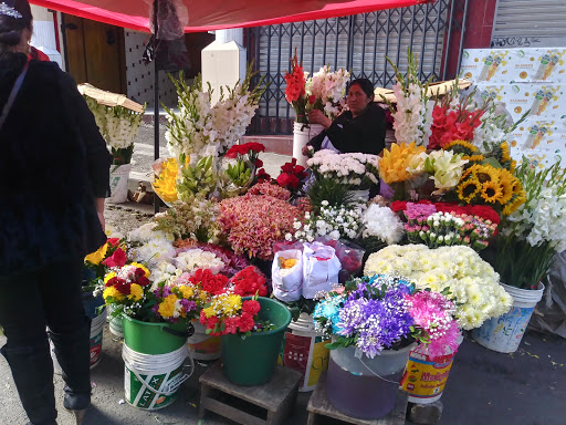 Tiendas flores artificiales La Paz
