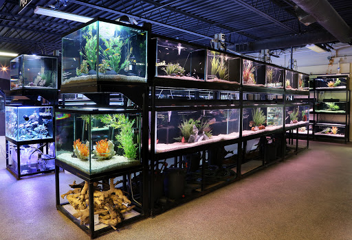 Saltwater Fish Store Near Me Now - Aquarium Shop Near Me: The Best Pet