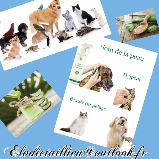 Elodie taillieu-educateur Comportementaliste canin-livraison friandises naturelles