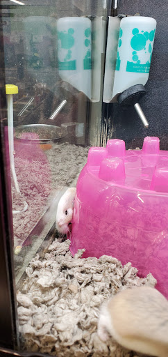 Pet Supply Store «PetSmart», reviews and photos, 5812 Youngstown Warren Rd, Niles, OH 44446, USA