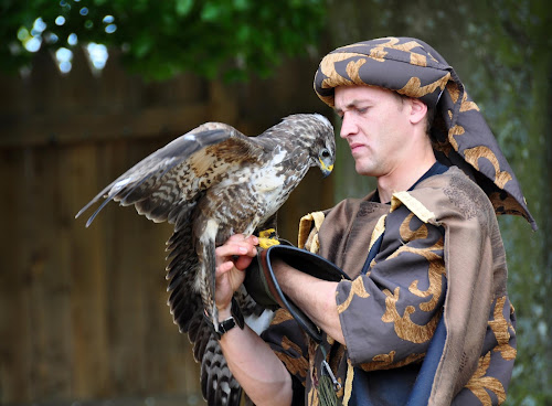 attractions Aigles de Château-Thierry Château-Thierry