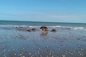 Playa Del Barco image