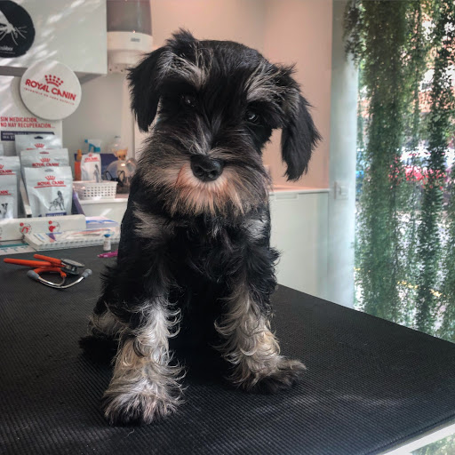 Clínica Veterinaria Vetersalud Alegría en Logroño