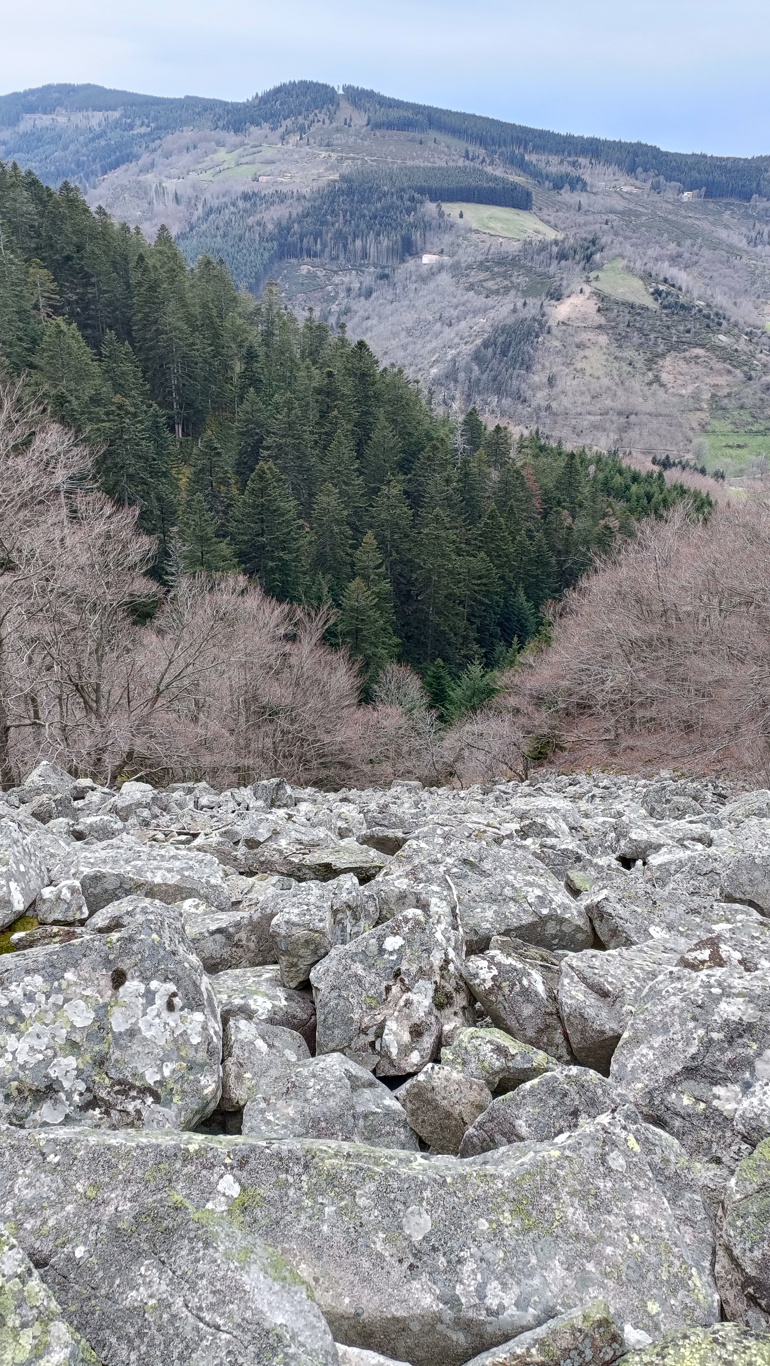 Photo n° 5 de l'avis de Fabbrizio.a fait le 14/04/2023 à 03:29