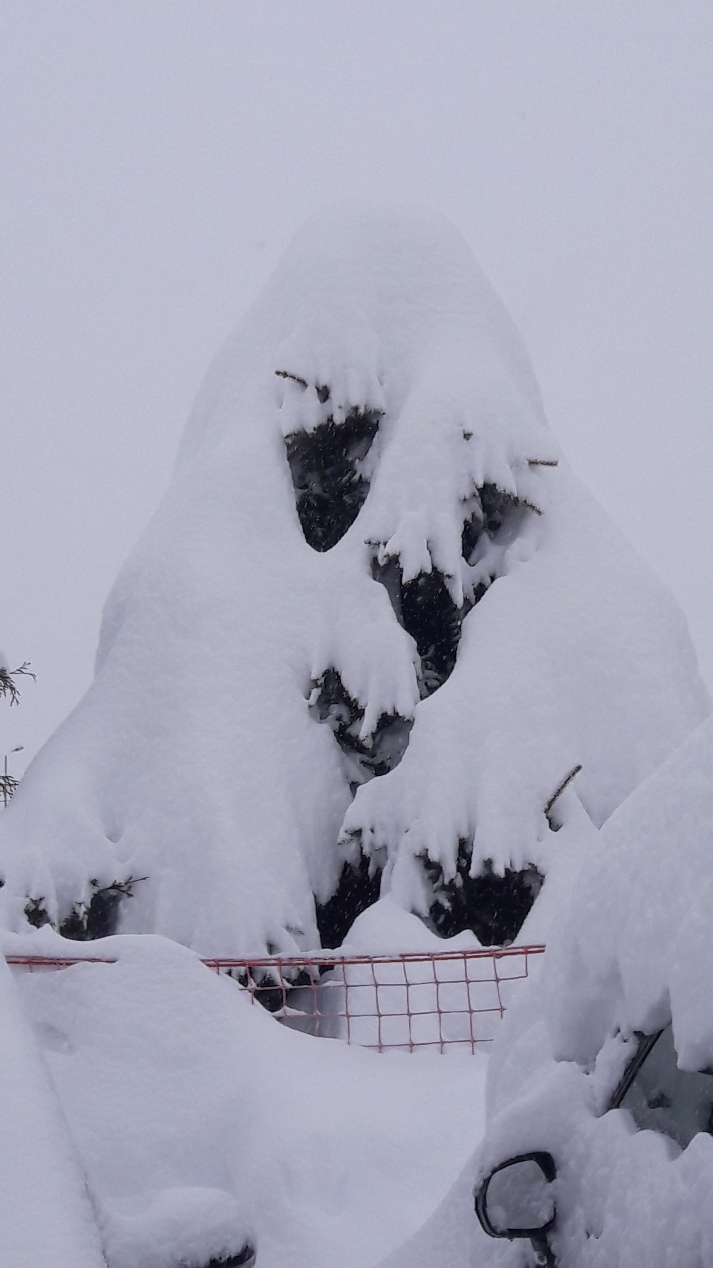 Photo n° 2 de l'avis de Vincent.a fait le 04/03/2019 à 14:33