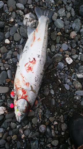 Sporting Goods Store «Rogue Outdoor Store», reviews and photos, 29865 Ellensburg Ave, Gold Beach, OR 97444, USA