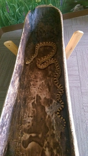 Nature Preserve «Hickory Knolls Discovery Center», reviews and photos, 3795 Campton Hills Drive, St Charles, IL 60175, USA