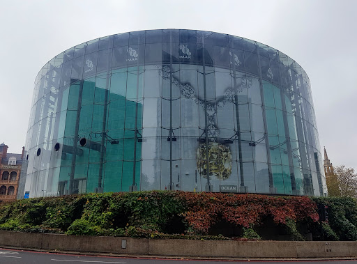 ODEON BFI IMAX