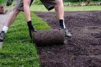 Green City Landscape and Lawn Care LLC - Photo 9 - Car repair in Mesquite, TX, Dallas