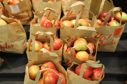 Grocery Store «Food Lion», reviews and photos, 377 W Jackson St, Cookeville, TN 38501, USA