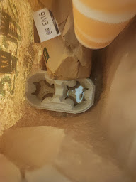 Photo n°59 de McDonald's à Carquefou ()