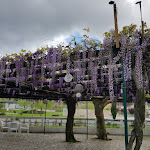 Photo n°1 de l'avis de Maria.a fait le 31/03/2024 à 20:23 sur le  Esplanada Jardim à Porto de Mós