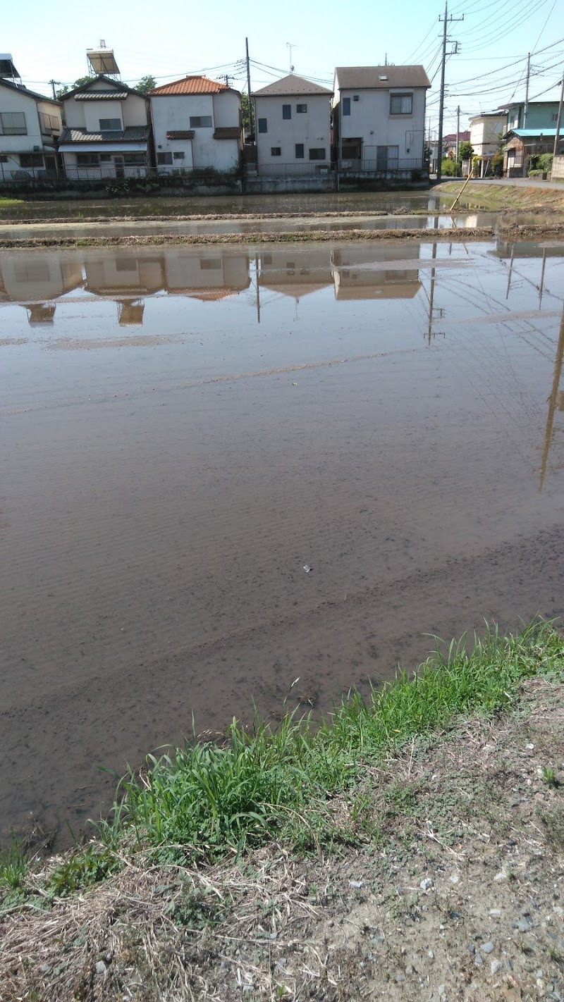 埼玉県立越谷西特別支援学校 埼玉県越谷市西新井 特別支援学校 学校 塾 グルコミ