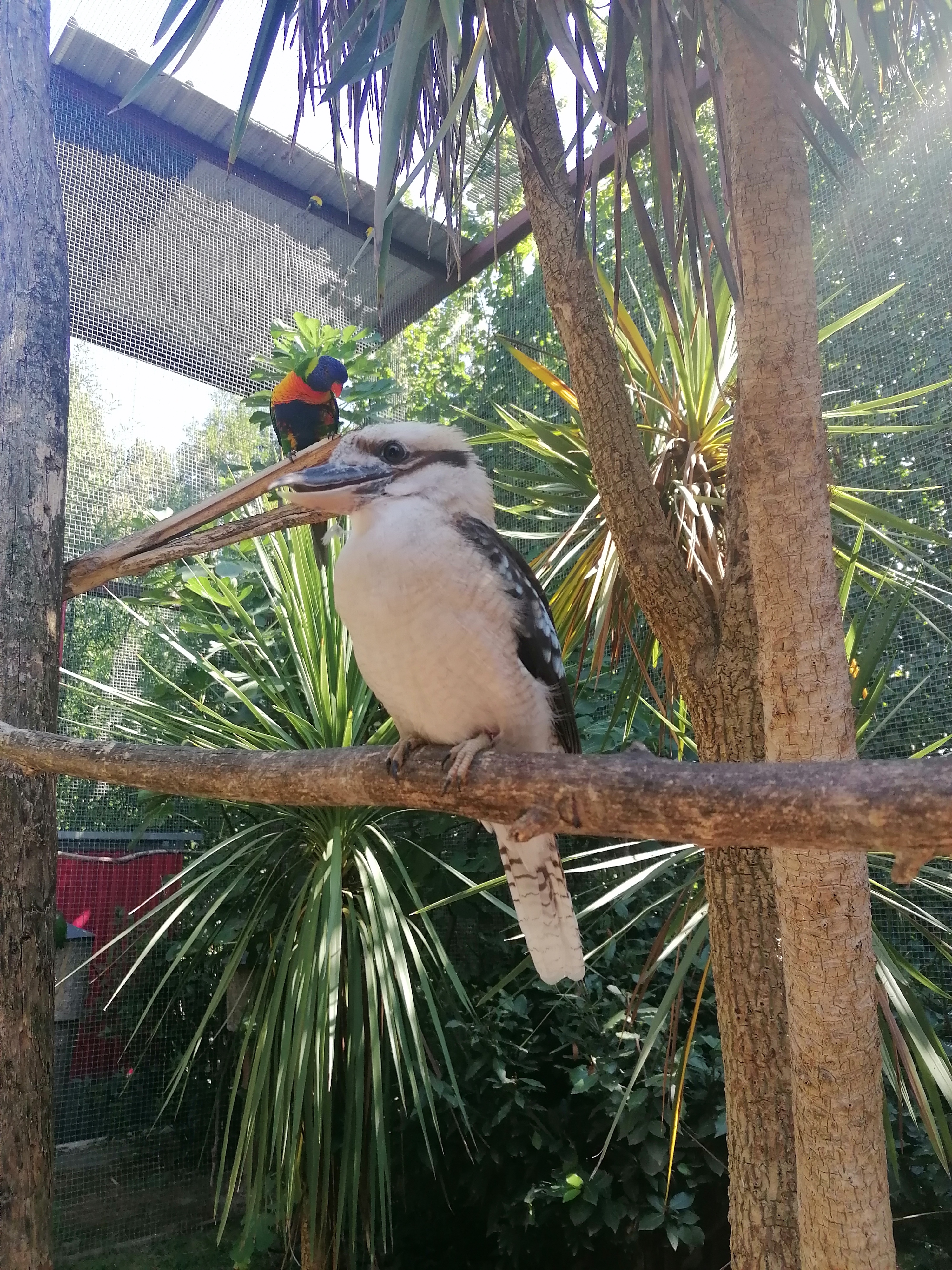 Photo n° 3 de l'avis de Gilles.. fait le 23/08/2023 à 12:57