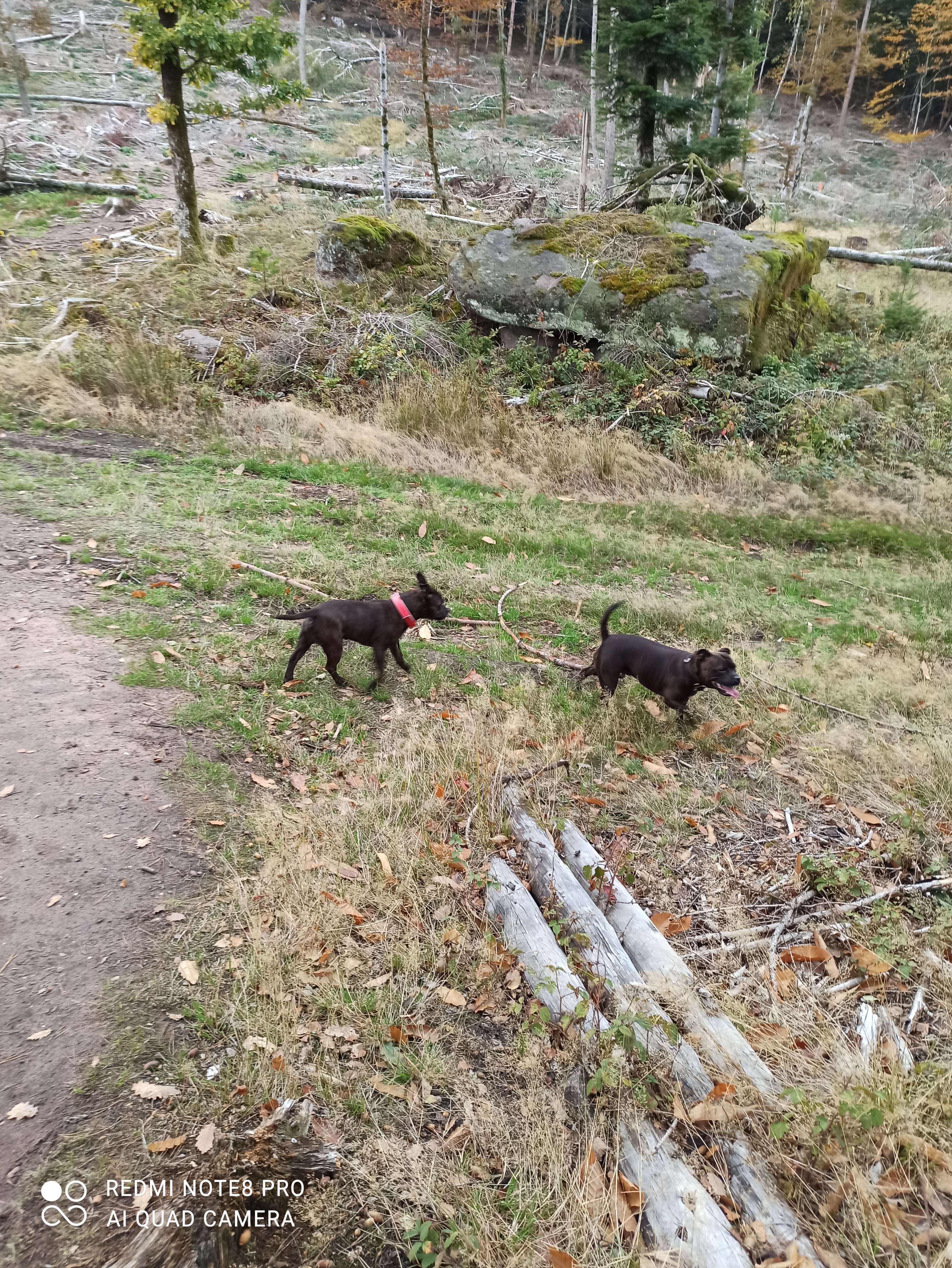 Photo n° 1 de l'avis de Sébastien.f fait le 20/10/2020 à 09:57