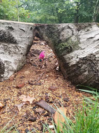 Park «Dorchester Park», reviews and photos, 2180 Dorchester Ave, Dorchester, MA 02124, USA