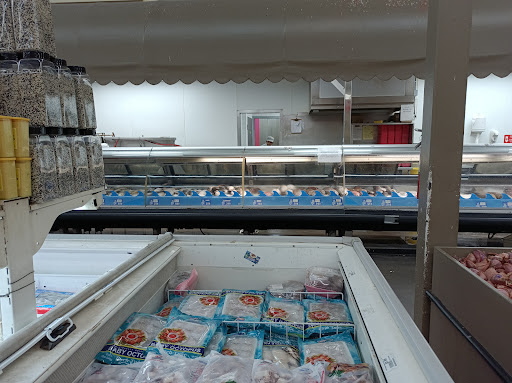 Asian Grocery Store «Lee Lee International Supermarkets», reviews and photos, 2025 N Dobson Rd, Chandler, AZ 85224, USA