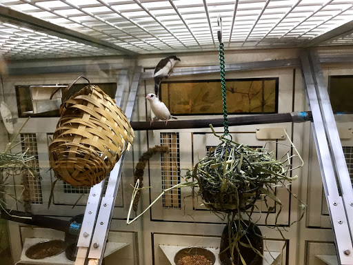 Pet Supply Store «PetSmart», reviews and photos, 490 River St, Santa Cruz, CA 95060, USA