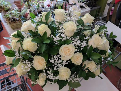 Florist «Chez Bloom», reviews and photos, 4310 Bryant Ave S, Minneapolis, MN 55409, USA
