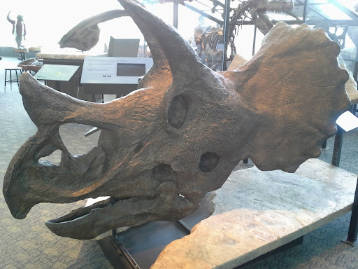 Imax Theater «IMAX at the Maryland Science Center», reviews and photos, 601 Light St, Baltimore, MD 21230, USA