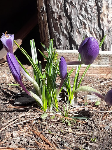 Nature Preserve «Steer Swamp Conservation Area», reviews and photos, 188 Washington St, Marblehead, MA 01945, USA